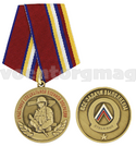 Медаль Участнику специальной военной операции (Все задачи выполнены), с бланком удостоверения