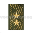Фальшпогоны оливковые, вышивка золотой нитью (генерал-лейтенант ВС), пара